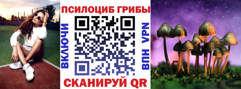 Галлюциногенные грибы мухоморы  сайты даркнета телеграм  Кизел 